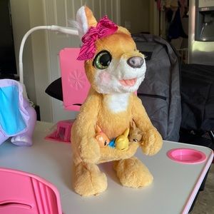 Kangaroo live pet “Mama Josie”
